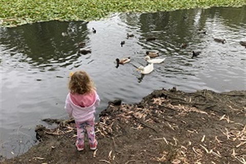 child-with-ducks.jpg