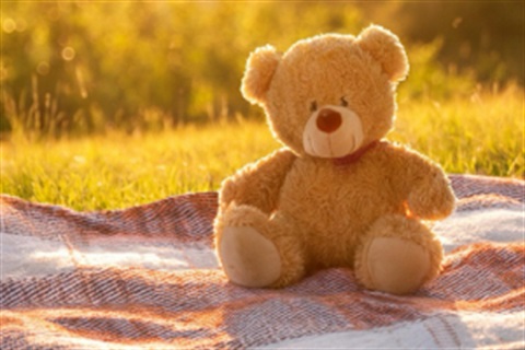 Teddy Bear's Picnic.jpg