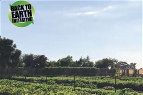 B2E-Food-for-Change-urban-farm.JPG
