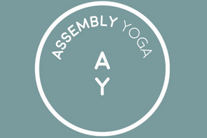Assembly - Resized.png