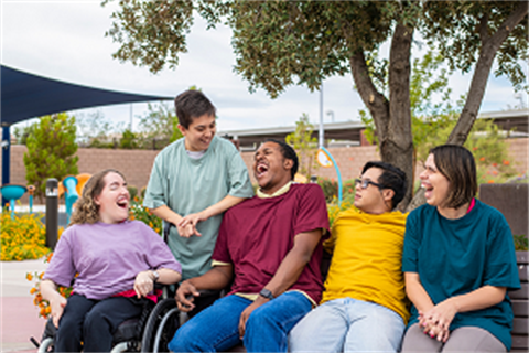Draft Disability Action Plan 2022-2026 Image.png