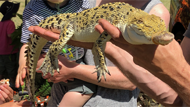 Blondie the blonde crocodile stole the show