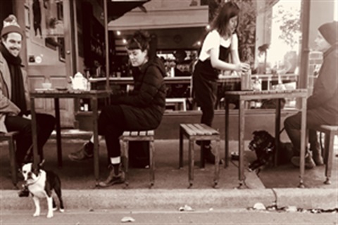 Your Guide To Dog Friendly Cafes And Bars In Maribyrnong Maribyrnong