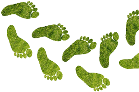 Our-Environment-Green-footprints.png