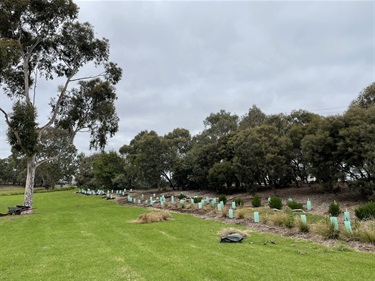 Tree planting at Thompson Reserve, Maribyrnong