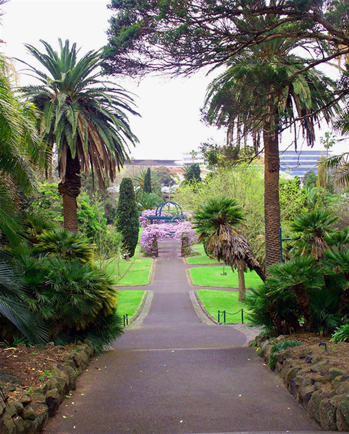 Footscray-Park-Drew-Walk.jpg