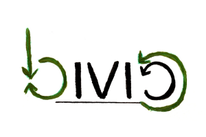 Bivio2