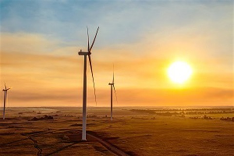 Business Renewables Buying Group Image.jpg