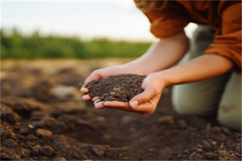 Soil.png