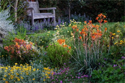 Native-gardens-Webpage-T2.png