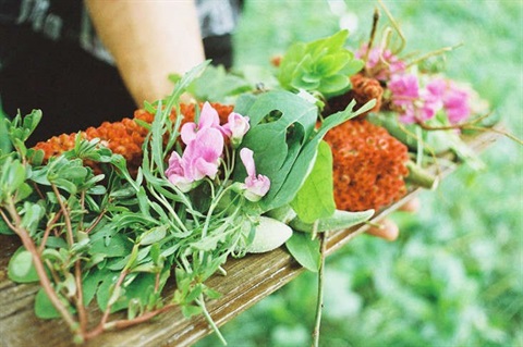 Edible-Weed-Foraging.jpg