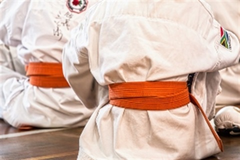 Martial-Arts-western-Vovinam.jpg