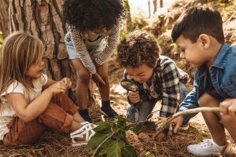 Children-in-nature.jpg