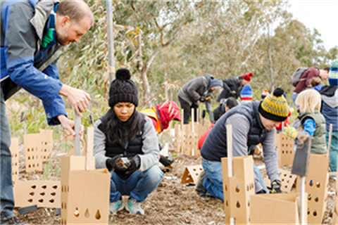 community-tree-planting.png