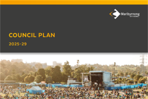 Council Plan 25-29.png