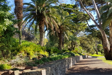 Footscray Park gardens