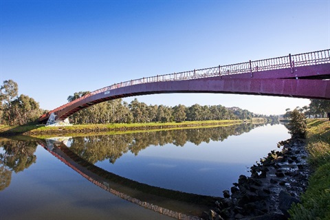 Biodiversity-OpenCities_NEW.jpg