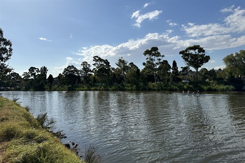 CRC - OpenCities.jpg