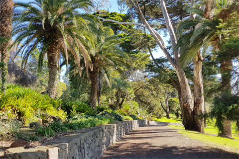 footscray park.png