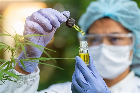 medicinal-cannabis.jpg