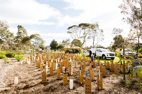 National Tree Planting Day.png