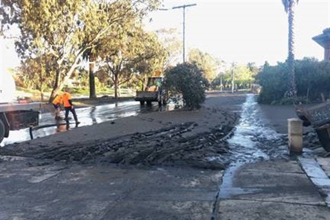 clean up 2.jpg