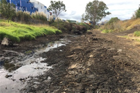 Desilting progress-12042019.jpg