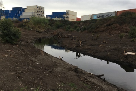 Fire site May 2019.jpg