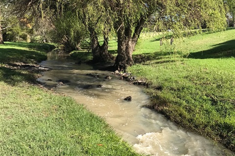 stony-creek.jpg