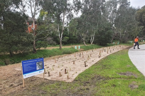 Cruickshank-Park-Planting-Opencities.jpg