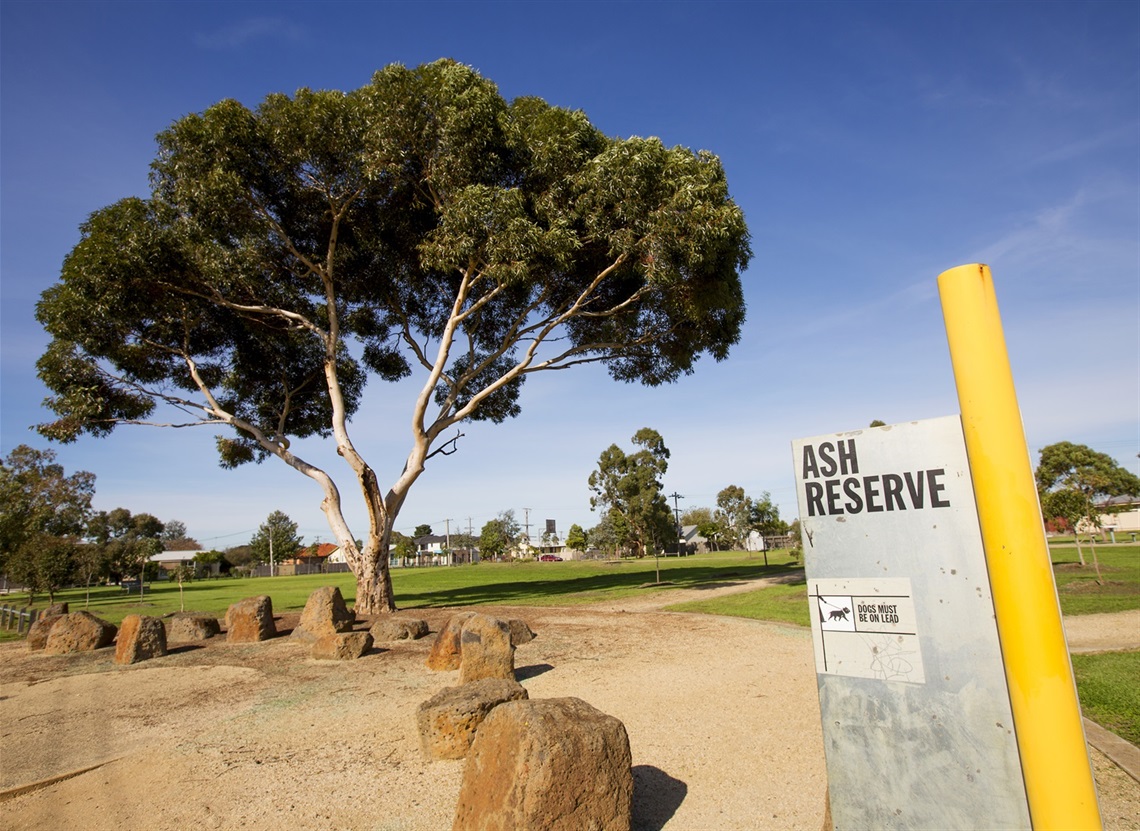Ash Reserve