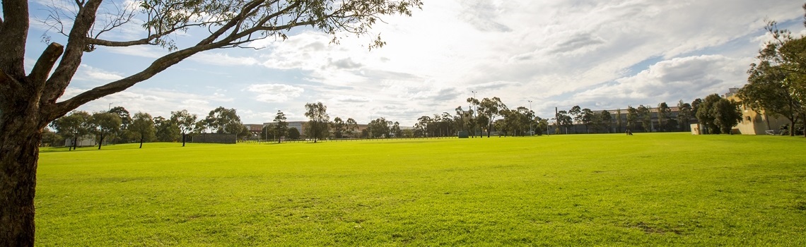 Hansen Reserve