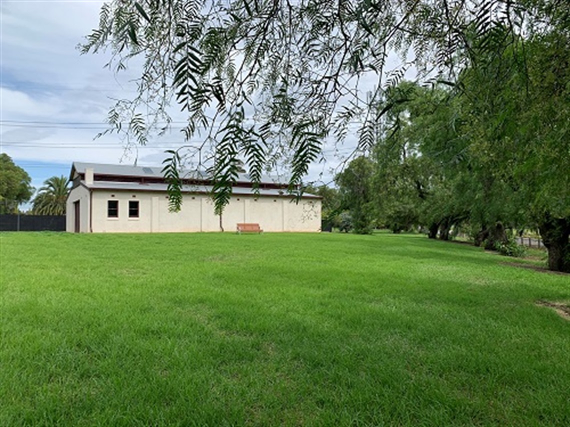 Chifley-Drive-Plantation-Reserve-3.jpg