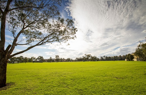 Hansen Reserve