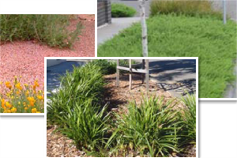 Naturestrip Landscape Policy