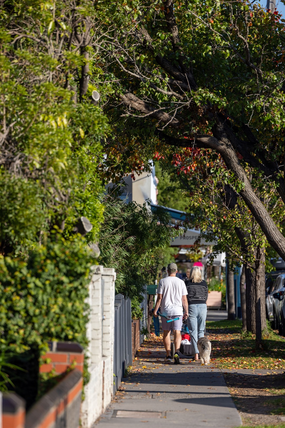 Seddon Neighbourhood Plan - Maribyrnong