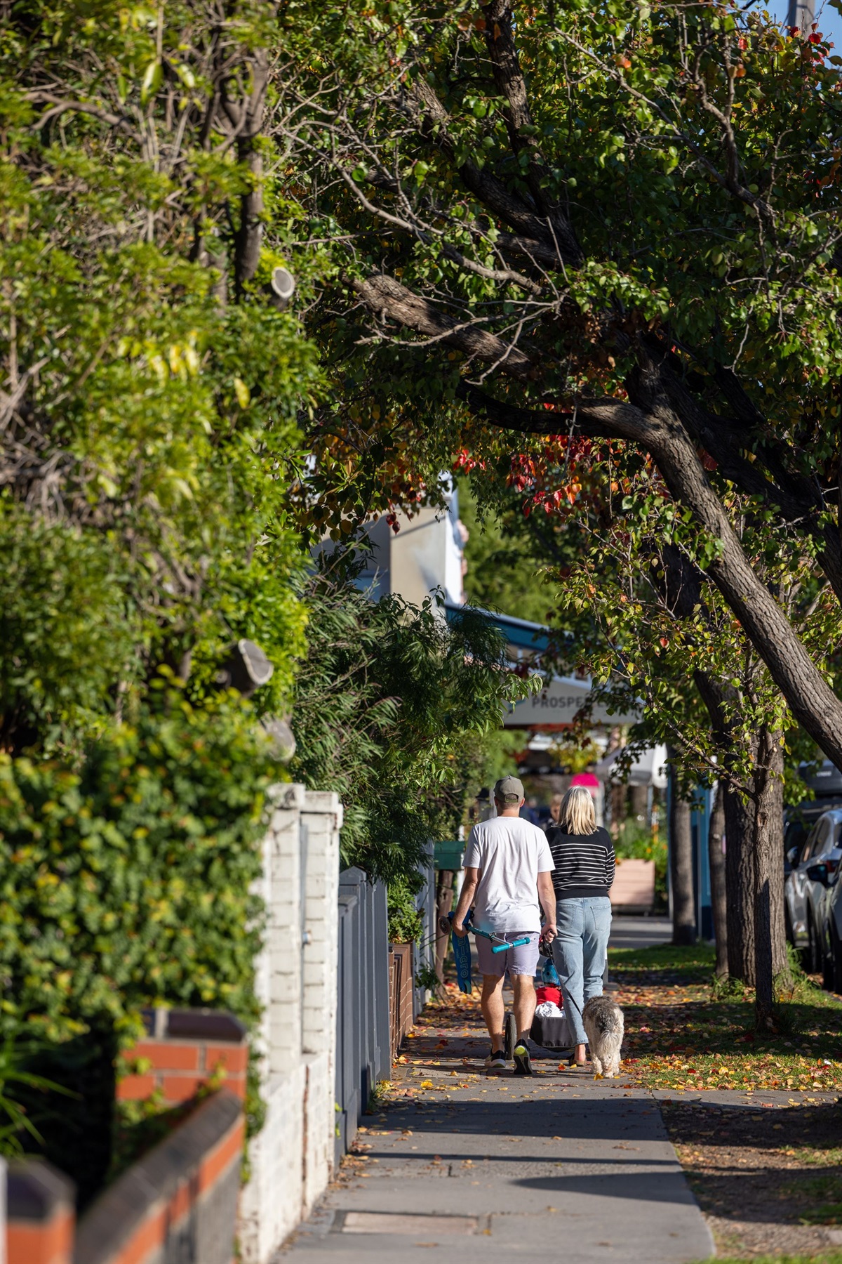 Seddon Neighbourhood Plan - Maribyrnong