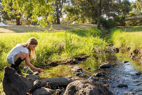 Stony Creek recovery 9 August 2019.jpg