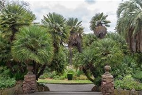 Footscray Park Entryway