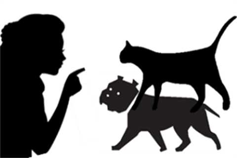Pets Report a Nuisance Animal.png
