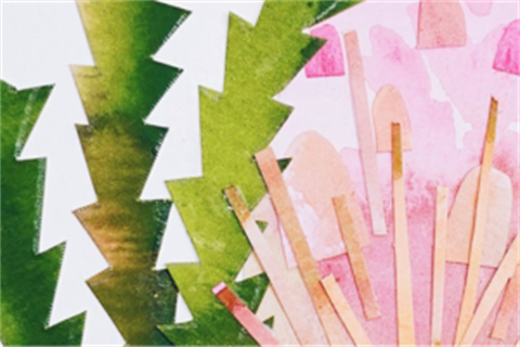 Australian Native Plants Collage.png