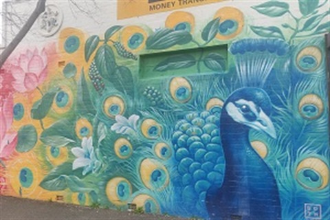 Rainbow Peacock WEFO mural trail.jpg