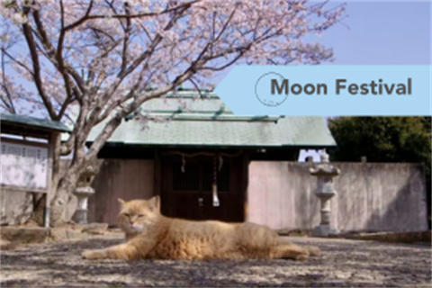 Moon Festival - Film  (1).png