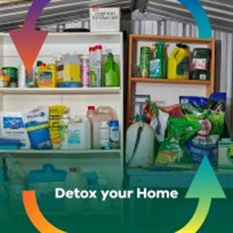 Detox promotion resized.jpg